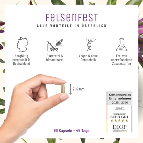 FELSENFEST - Johanniskraut Baldrian Passionsblume Kapseln hochdosiert - Vergleichssieger * - St Johns Wort mit Folsäure & B12 - Vegan - 90 Kapseln
