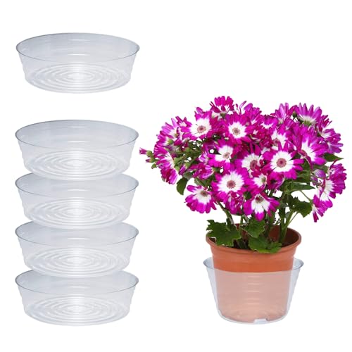Curtis Wagner Plastics Plant Tray Basket Liner (5-Pack) - Clear, Deep (Diameter: 10.37' Base...