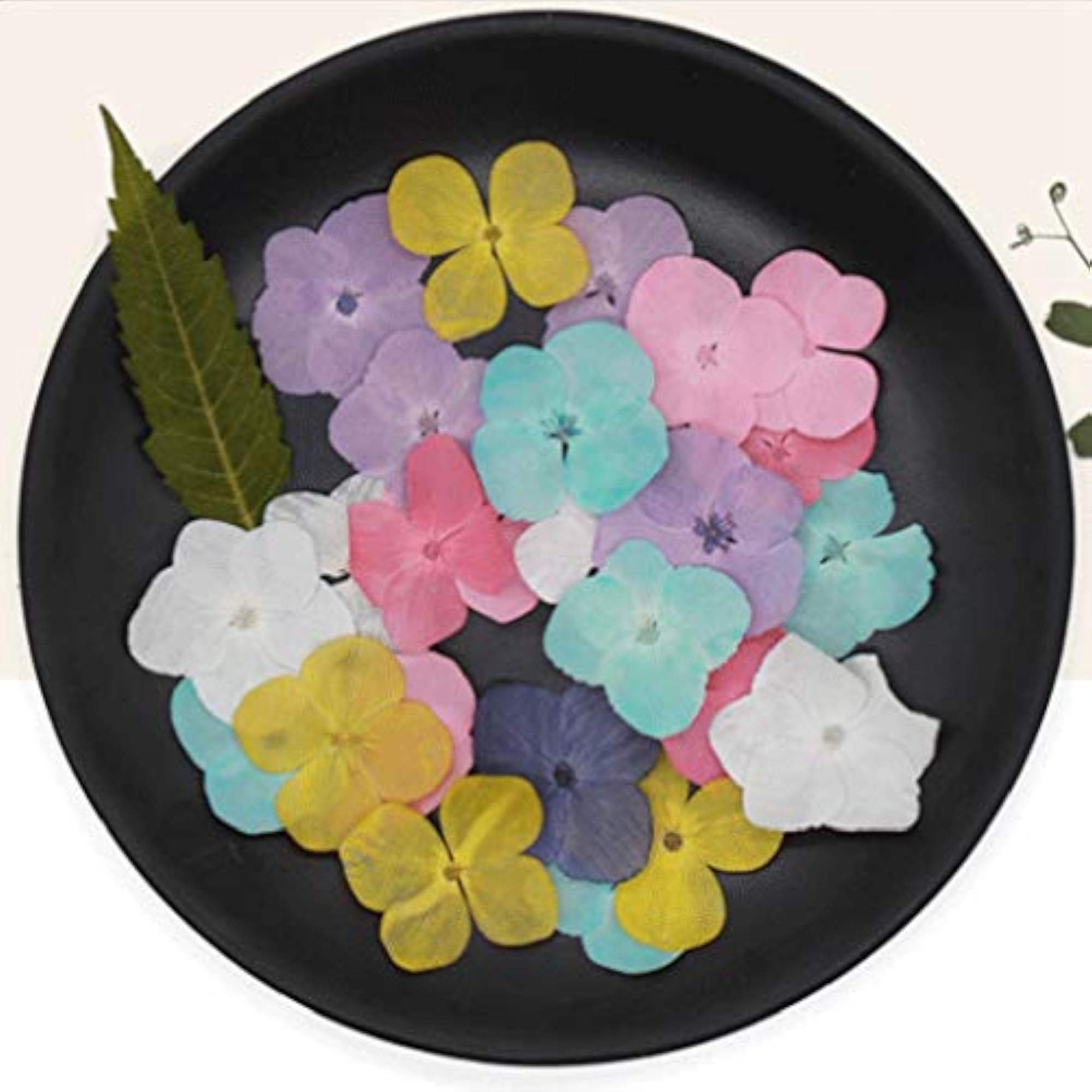 60PCS Pressed Hydrangea Flowers for Scrapbooking