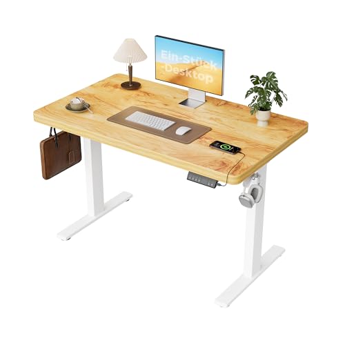 Agilestic Höhenverstellbarer Schreibtisch 120x60cm, 28MM Ganze Tischplatte mit 2 Motoren, Ergonomischer Steh-Sitz Tisch Stehpult mit 3 Memory-Steuerung, Einfache Montage für Homeoffice(Hellbraun)