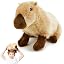 Capybara