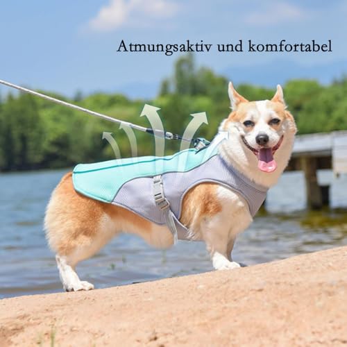 Voarge Kühlweste für Hunde, Leichtgewicht Kühlweste, Atmungsaktive Reflektierende Sicherheitsweste für Klein Mittel, UV-Schutz Hunde Kühlweste, L
