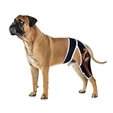 Dog Leg Brace for Back Leg ACL Tear, Dog Knee Brace for All Legs with Reflective Material, Dog Arthritis Brace to Relieve Arthritis Pain, Prevent Further Injury and Promote Postoperative Recovery M