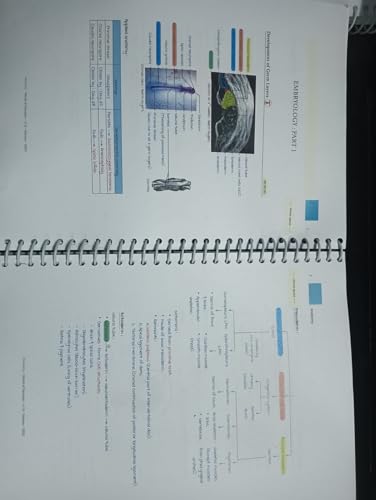 Image of Marrow World of Revision Notes COMPLETE-SET 19 SUBJECTS..DIGITAL HD COLOURED NOTES WITH SPIRAL BINDING- /2026-2027