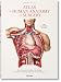 Bourgery. Atlas of Human Anatomy and Surgery (Multilingual Edition)