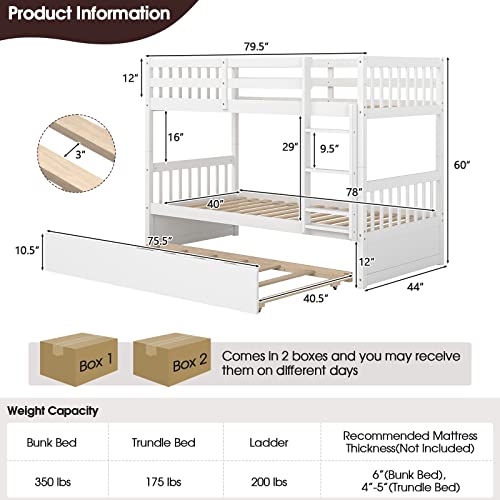 Giantex Twin Bunk with Trundle