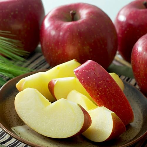 y\tE11{蔭\z Y xTtW  iN (2.8kg) SݓXɒ It[c Â݂ƃVLVL̐Hy߂Tӂ v[g ʕMtg iǗ ①3`6Ǘ 퉷z