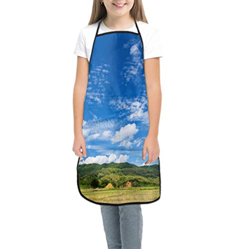 Cute Apron For Kids Colorful Sky Hot Air Ballon Chefs Apron For Kids Play Apron For Kids Kitchen Waterproof With Pocket For Cooking Baking Painting And Party