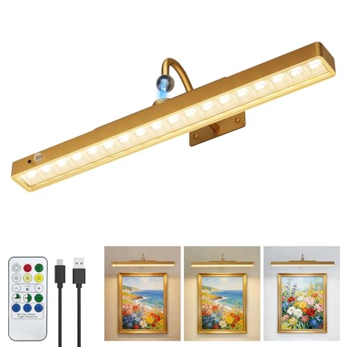 Tanbaby 16 Wireless Picture Lights for Wall 6000mAh Rechargeable Battery Operated Light with Motion Sensor 3CCT Dimmable Timer Magnetic Poster Lights with Remote for Gallery Living Room-1Pack