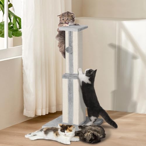 Zvonema Kratzbaum, Kratzsäule, 79cm Natürlichem Sisalseil Kratzstamm, Katzenkratzbaum für Wohnungskatzen Palmen, Stabile Basis 36.5x36.5 cm,...