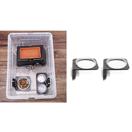 Baoblaze 4 Stuks Reptielen Voerbak Waterbak Drinkbak met Zuignap - Afbeelding 7