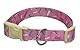 Studio Pets CL-01M-ST Hundehalsband, Größe M