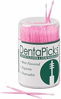 Denta Picks Plastic Toothpicks by WalterDrake