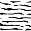 Zebra Stripe