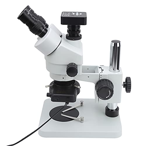Stereomikroskop, 45 Grad geneigt 360 Grad schwenkbare Augentuben 21MP 2K USB Mikroskop Kamera Trinokulares Mikroskop für…