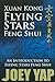 Xuan Kong Flying Stars Feng Shui - An introduction to Flying Stars Feng Shui