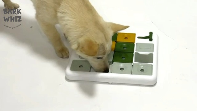 Dog Puzzle Toy 3 Levels, Mental stimulating for Boredom and Smart Dogs, Treat Puzzle for All Breeds Dog - image 7