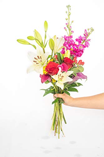 Greenchoice Flowers Spring Bouquet - Fresh Cut Flowers, Flower Bouquet, Fresh Flowers for Delivery, Birthday Flowers