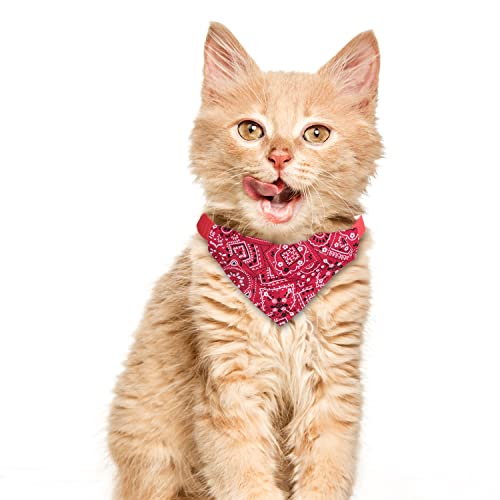 XIMA 6 coleiras bandana para gatos com gravata borboleta removível para gatos, filhotes, gatinhos, p