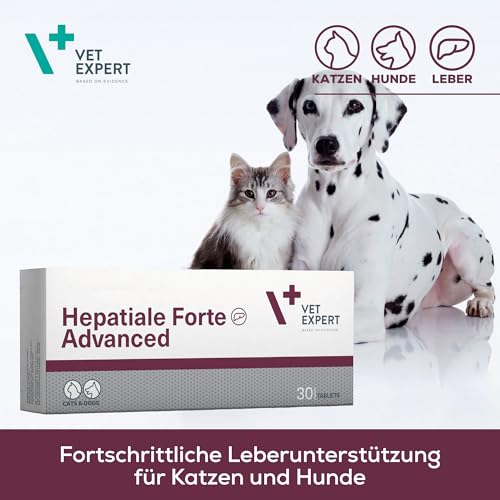 VetExpert Hepatiale Forte | 40 Tabletten | Ergänzungsfuttermittel für Hunde und Katzen