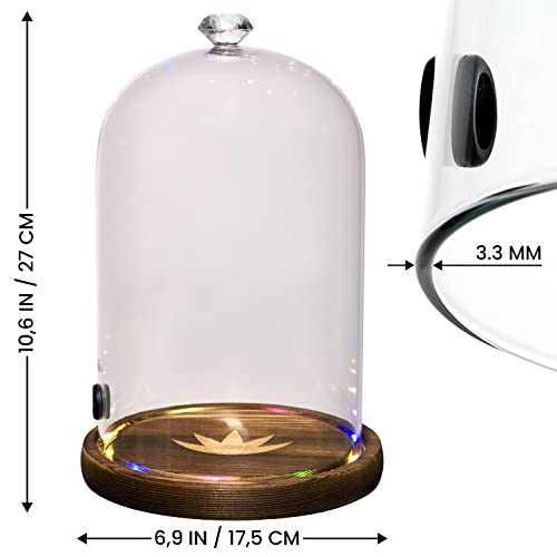Acessório para arma de fumar, luzes LED, cúpula de vidro, tampa de 23 x 14,5 cm, com base de madeira