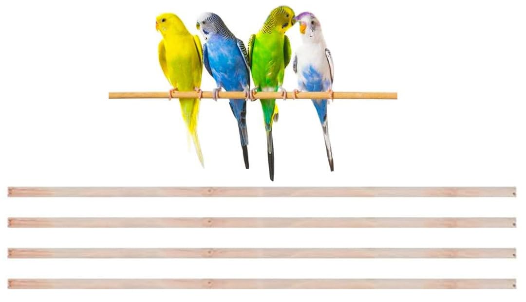 New Natural Wood Perches for Bird Cage, Many Sizes (30")