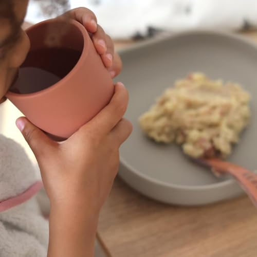 Image of BEABA Silicone 4-Piece Meal Set - Easy to Clean - Dishwasher and Microwave Safe - Soft, Unbreakable, Non-Slip Suction Bottom - Includes Plate, Bowl, Cup and 2nd Stage Silicone Spoon (Terracotta)