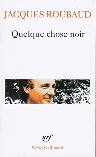 Télécharger Quelque chose noir PDF Ebook En Ligne