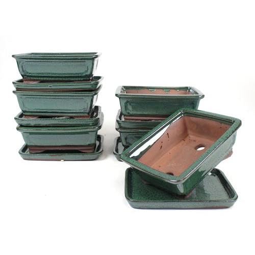 PLANETA HUERTO | Tiesto Bonsái Rectangular 20 cm con Plato Verde – Maceta de Diseño Atractivo y Resistente para Bonsáis