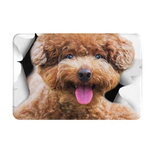 ���փ}�b�g�΂��Ă�v�[�h���A�j�������}�b�g�z�������R�ۖh�L�o�X�}�b�g�z������~�ߖh�J�r�������L���o�X���[���L�b�`���l�G���p�J�[�y�b�g���킢���v���[���g40×60cmR5T6Y14