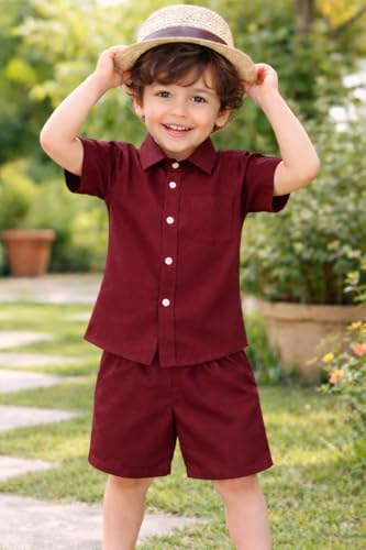 Image of Boys Shirt & Shorts Co-ord Set Kids Regular Wear Clothes Outfit