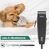 Agrarzone Edition Wahl Rex Hunde Schermaschine mit Aufsteckkamm-Set - Leise Hundeschermaschine Moser für mittelgroße Hunde & Katzen - Ideal für nervöse & sensible Tiere