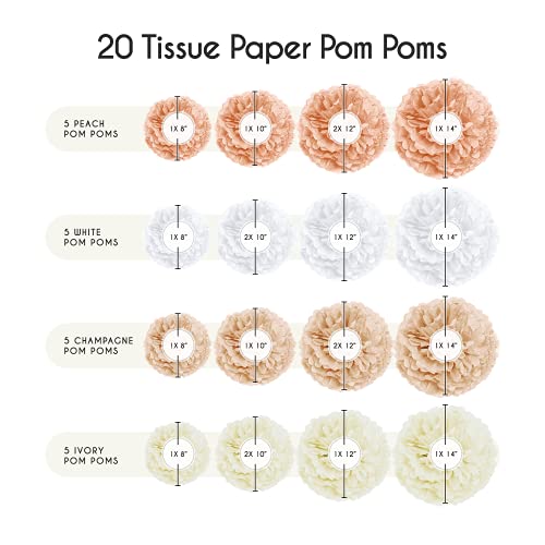 Epiqueone 20-Piece Tissue Paper Pom Poms Party Kit - Add A Splash Of White, Ivory, Peach And Champagne To Your Celebrations! Perfect For Birthday, Bridal Shower, Baby Shower, Wedding & Graduation #TOP2