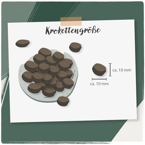 Venandi Animal – Premium Katzenfutter – Lachs, mit viel frischem Fisch, Trockenfutter, getreidefrei 1er Pack (1 x 300g)