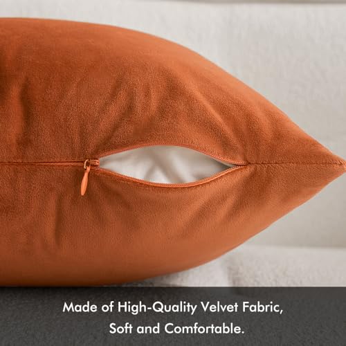 Image of MIULEE Velvet Throw Pillow Covers 12x20 Inch, Pack of 2 - Orange, Soft Solid Lumbar Fall Decorative Pillow Covers Modern Luxury Home Decor for Chair Couch Sofa Bedroom Livingroom