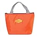 DolceTiger Sac Isotherme à Repas Portable Lunch Bag à Déjeuner Waterproof avec Feuille d'Aluminium Isolée Sac à Main Pliable pour Femme, Enfant à l’École et au Bureau (C)