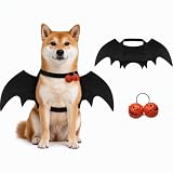 Halloween Kostüm Hund Fledermaus Flügel mit Kürbisglocke