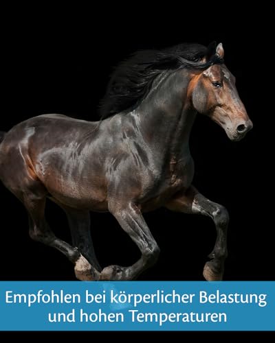 EQUISTRO® Energy Booster | Ergänzungsfuttermittel für Pferde | Hochkonzentrierte Nährstoffe für Ausdauer & Leistungsfähigkeit | Premium Qualität | 20g