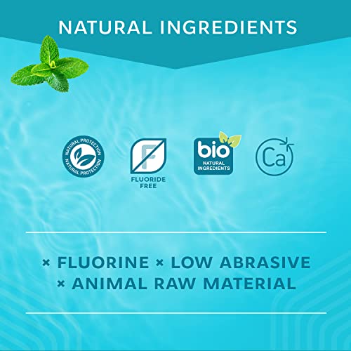 R.o.c.s. Toothpaste - Mineralin Formula With Calcium, Bromelain And Xylitol - Best For Removing Plaque And Strengthening Enamel - Non-Fluoride Oral Care (Calcium Power, Pack Of 1) #TOP5