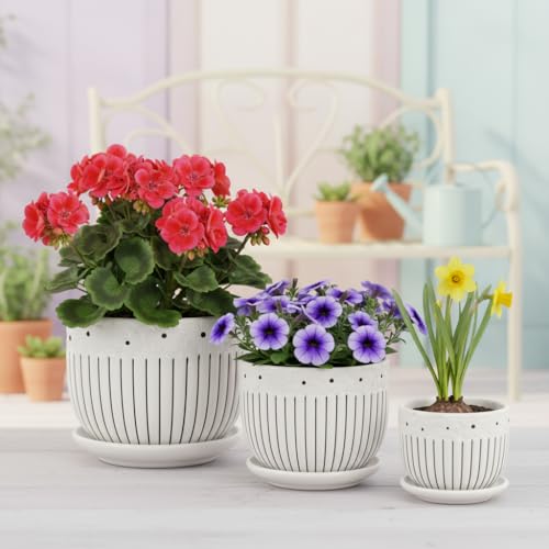 Image of Xtore Graceful Embossed Ceramic Planter Set of 3 with Drain Trays | Floral Textured Indoor Pots for Living Room, Balcony & Shelf Decor (Pack of 3, Planter only)
