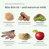 kaer basic Präbiotik Plus Pulver für Hunde, 2X 200g - Probiotika zur Futterergänzung, Darmflora aufbauen, Darmbakterien, Darmsanierung Ergänzungsmittel, Darmkur