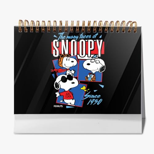 J_[ Xk[s[ J_[ 2026N ʐ^V[ XPW[  ItBXpi NX}X VN  lC