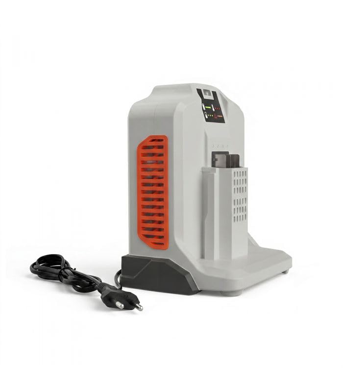 Chargeur Rapide 62V 4A pour Batterie DAEWOO DALCH62-4A