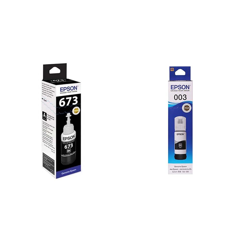Epson T6731 Ink Bottle (Black)