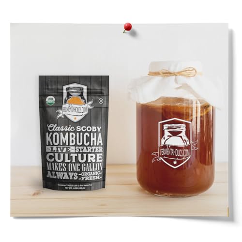 Fermentaholics Kombucha SCOBY & Starter Tea | Live, Fresh, Organic Starter Culture | DIY Kombucha | 12oz Fresh Starter Tea