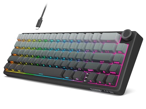 Image of RK ROYAL KLUDGE R65 Wired Gaming Keyboard with Volume Knob, 60% Percent RGB Backlit Mechanical Keyboard, Side Printed PBT Keycaps, QMK /VIA, 66 Keys Hot Swappable Beige Switch, Gradient Black