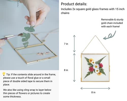 Beedecor Double Glass Frame For Pressed Flowers, Leaf And Artwork - Hanging Square 8X8 Metal Picture Frames, Clear Floating Pressed Glass Frame, Wall Decor Photo Display, Set Of 2 Flower Press Frames With Chain (Gold, 8X8) #TOP2
