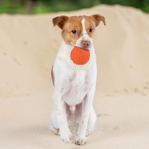Image of Best Pet Supplies Interactive Squeaky Dog Chew Toy, Ideal Dog Toys for Chewers, Small, Medium & Large Dogs, and Fetch Lovers - Fuchsia, Green, Blue, Orange, Medium 2.5 inch