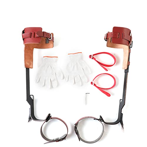 Lfhelper Tree Climbing Spike Set