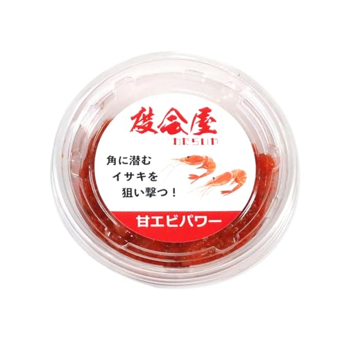 x(킽炢) ÃGrp[ Cޖx p ⓀGT